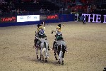 Quadrille - 00817